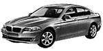 BMW F10 P124B Fault Code